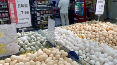 蛋價(jià)破6，價(jià)格還會(huì)漲嘛-上海邦森