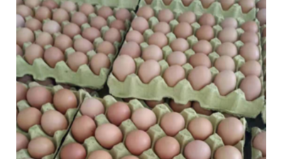 蛋價