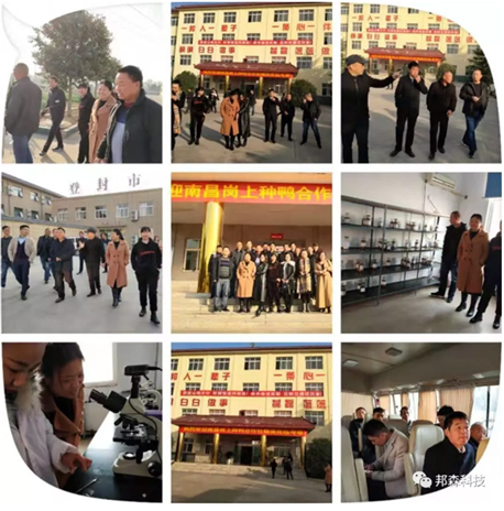 上海邦森 上海邦森