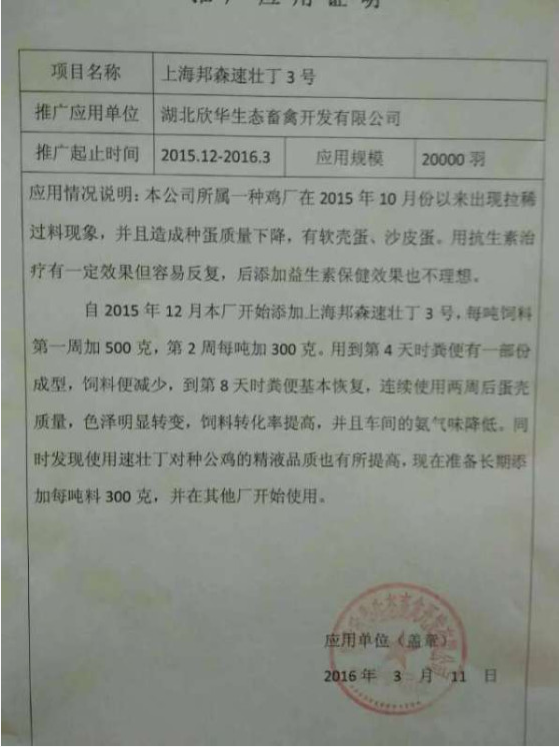 速壯丁欣華 速壯丁欣華