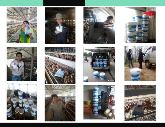 客戶見(jiàn)證速壯丁 客戶見(jiàn)證速壯丁