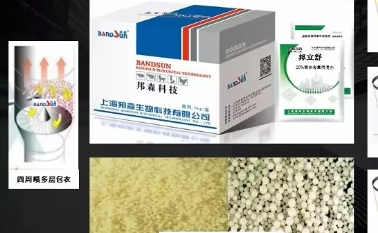 替米考星2 替米考星2