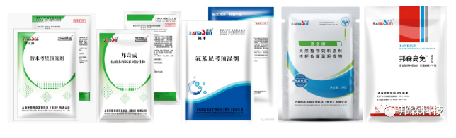 仔豬咳喘病防治方案 仔豬咳喘病防治方案