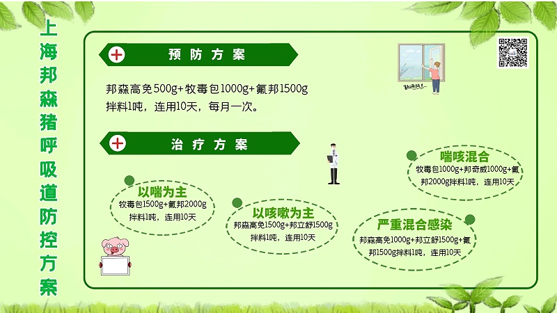 呼吸道豬 呼吸道豬