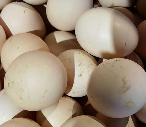 使用后蛋品質(zhì)量 使用后蛋品質(zhì)量