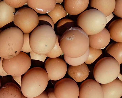 使用加強(qiáng)型如意后蛋質(zhì)量 使用加強(qiáng)型如意后蛋質(zhì)量