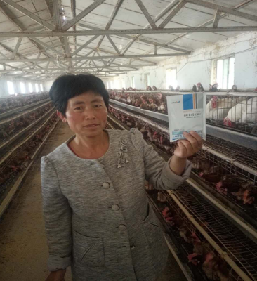 速壯丁在安徽亳州 速壯丁在安徽亳州