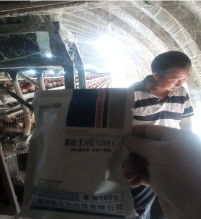 速壯丁在淮北 速壯丁在淮北