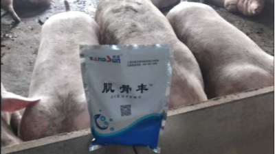 上海邦森肌骨豐豬場(chǎng)提高效益的有效方法，獲得客戶的認(rèn)可